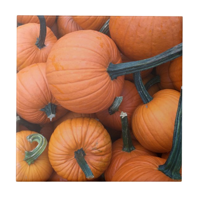 Pumpkin Pile! Tile (Front)