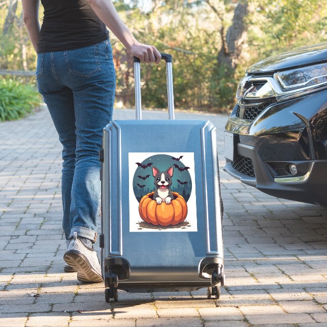 Pumpkin Pitbull Smile (Suitcase Insitu)