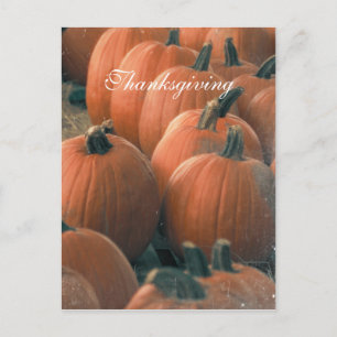 Pumpkin Post Card