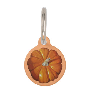 Pumpkin Round Pet Tag