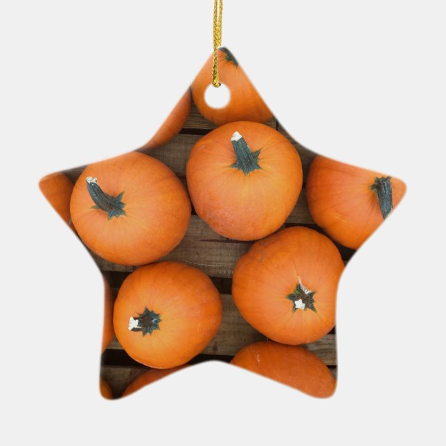 Pumpkin Rows Ceramic Ornament (Front)