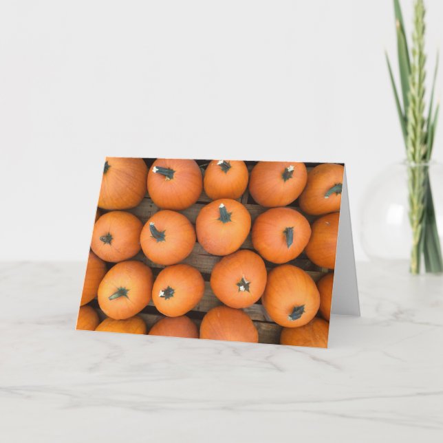 Pumpkin Rows Holiday Card (Front)
