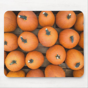 Pumpkin Rows Mouse Pad