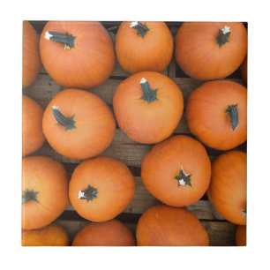 Pumpkin Rows Tile