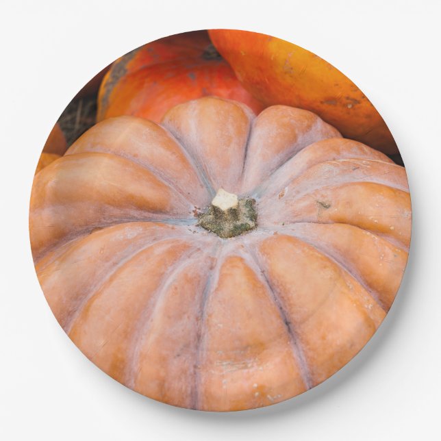 Pumpkin Season Paper Plate (Front)