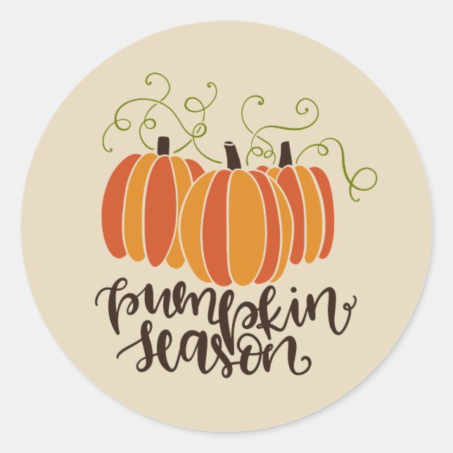 Pumpkin Season Thanksgiving Fall Classic Round Sticker (Front)