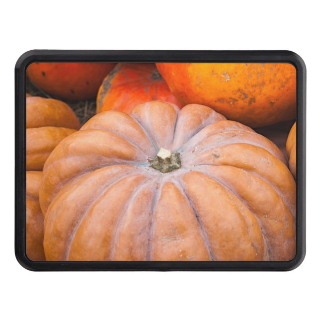 Pumpkin Season Trailer Hitch Cover (Front)