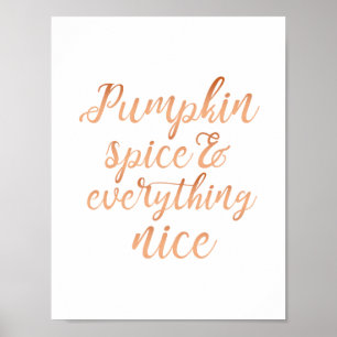 Pumpkin spice & everything nice poster