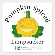 Pumpkin Spiced Lumpsucker