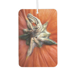 Pumpkin Spiral  Air Freshener