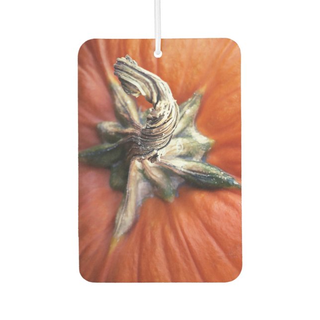 Pumpkin Spiral  Air Freshener (Front)