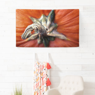 Pumpkin Spiral  Banner