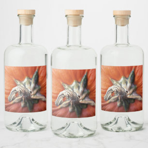 Pumpkin Spiral  Liquor Bottle Label