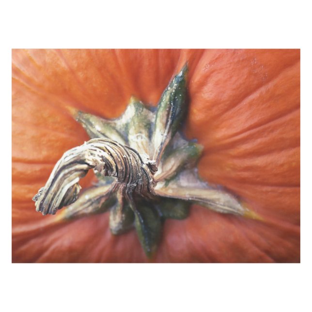 Pumpkin Spiral  Tablecloth (Front (Horizontal))
