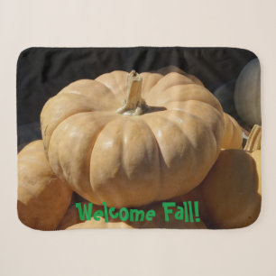 Pumpkin Style! on a Sherpa Blanket