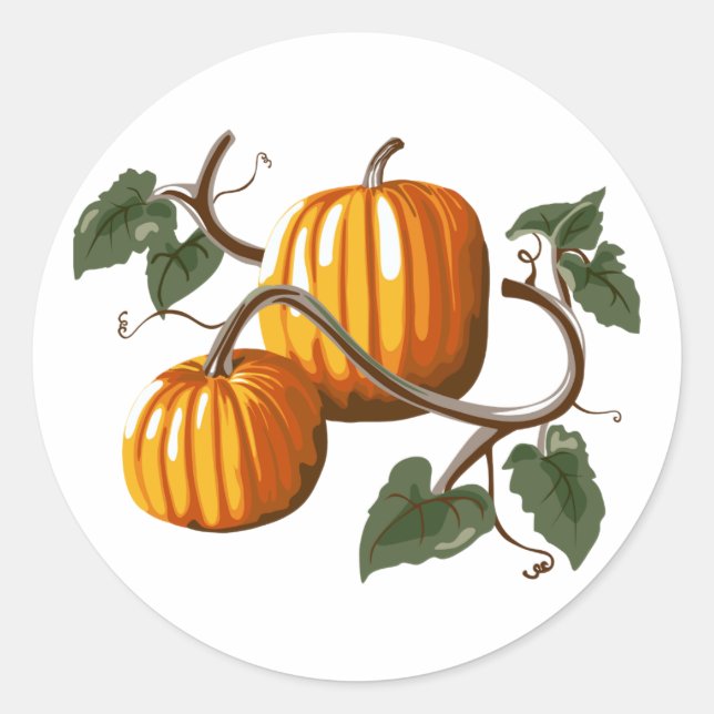 Pumpkin Vine Pumpkins Sticker (Front)