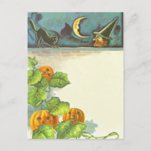 Pumpkin Vines Jack O Lantern Witch Black Cat Postcard