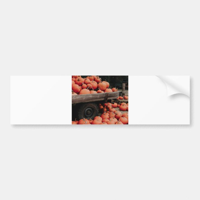 pumpkin wagon bumper sticker (Front)