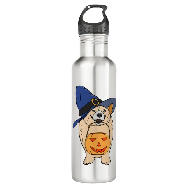 Pumpkin Witch Dog 710 Ml Water Bottle (Front)