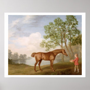 Pumpkin with a Stable-Lad, 1774 (oil on panel) Poster