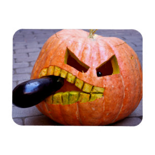 Pumpkin with Eggplant Magnet
