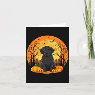 Pumpkin With Funny Halloween Costume Black Card