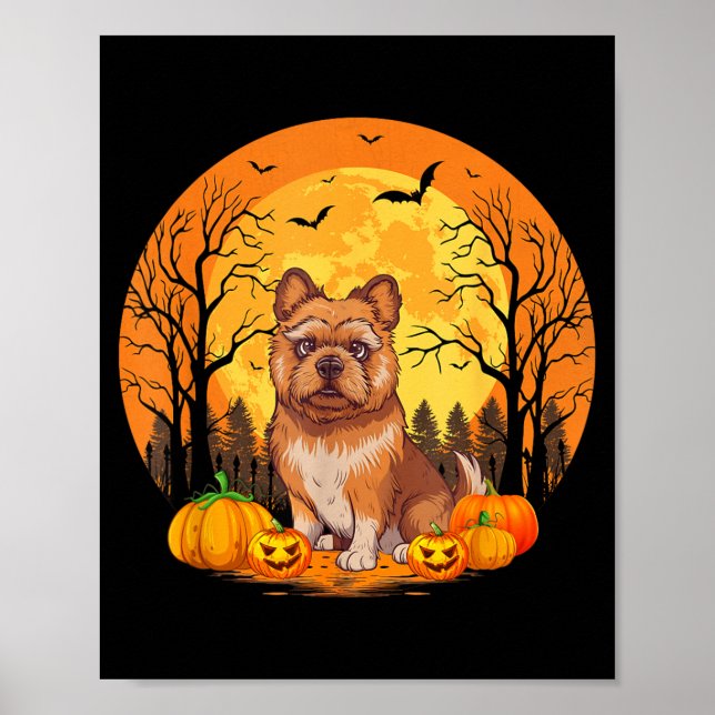 Pumpkin With Funny Halloween Costume Brussels Poster (Front)