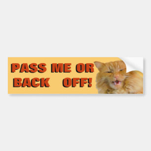 Pumpkin yells " back off" Cat Meme Bumper Sticker
