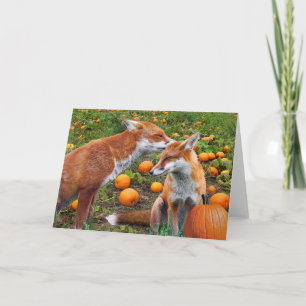 "Pumpkinpatch macule" la carte de voeux