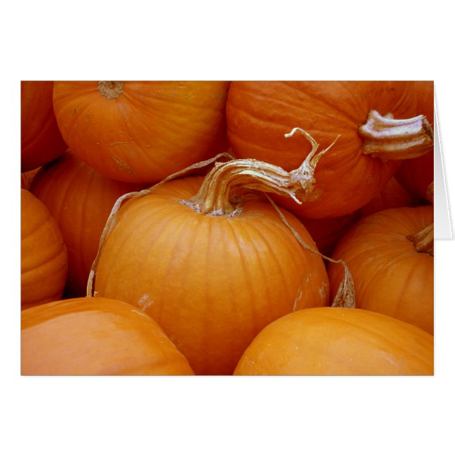 Pumpkins (Front Horizontal)