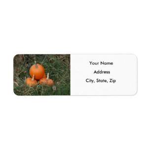 Pumpkins