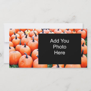 Pumpkins