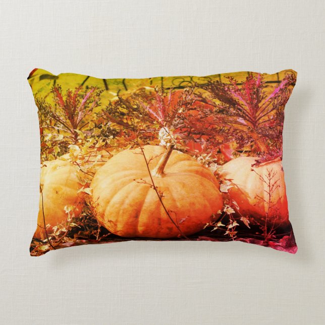 Pumpkins And Fall Plants   Accent Pillow (Front)