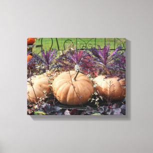 Pumpkins And Fall Plants  Canvas Print