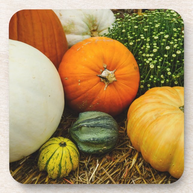 Pumpkins And Gourds Coaster (Front)