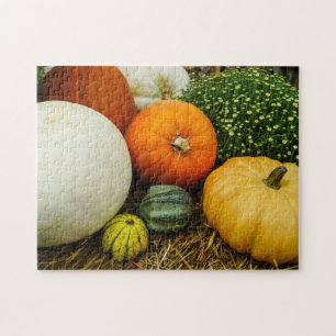 Pumpkins And Gourds Jigsaw Puzzle