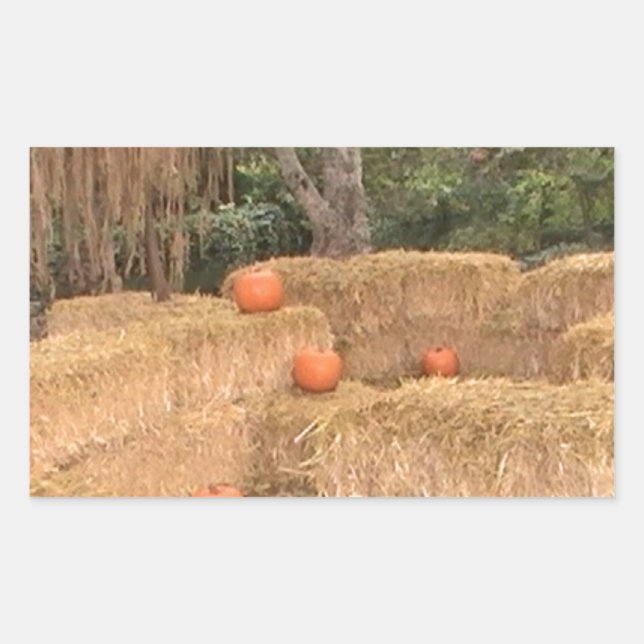 Pumpkins and hay sticker (Front)