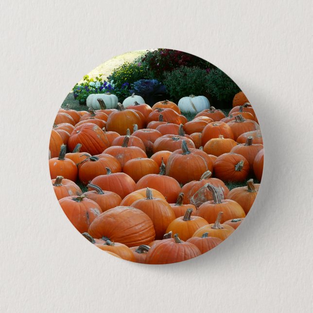 Pumpkins and Mums Autumn Harvest Photography 2 Inch Round Button (Front)