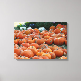 Pumpkins and Mums Autumn Harvest Photography Canvas Print