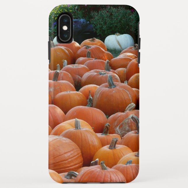 Pumpkins and Mums Autumn Harvest Photography Case-Mate iPhone Case (Back)
