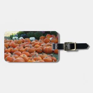 Pumpkins and Mums Autumn Harvest Photography Luggage Tag