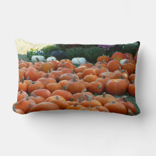 Pumpkins and Mums Autumn Harvest Photography Lumbar Pillow