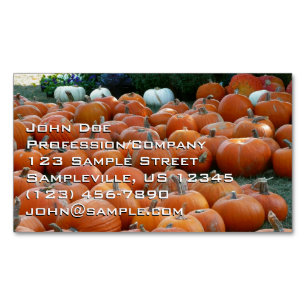 Pumpkins and Mums Autumn Harvest Photography Magnetic Business Card