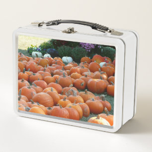 Pumpkins and Mums Autumn Harvest Photography Metal Lunch Box