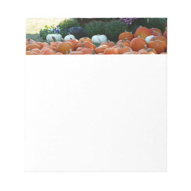 Pumpkins and Mums Autumn Harvest Photography Notepad (Front)