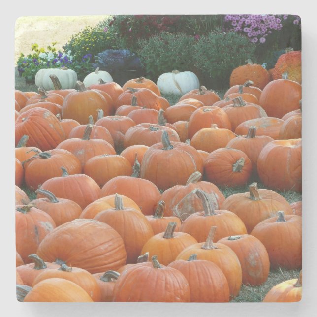Pumpkins and Mums Autumn Harvest Photography Stone Coaster (Front)