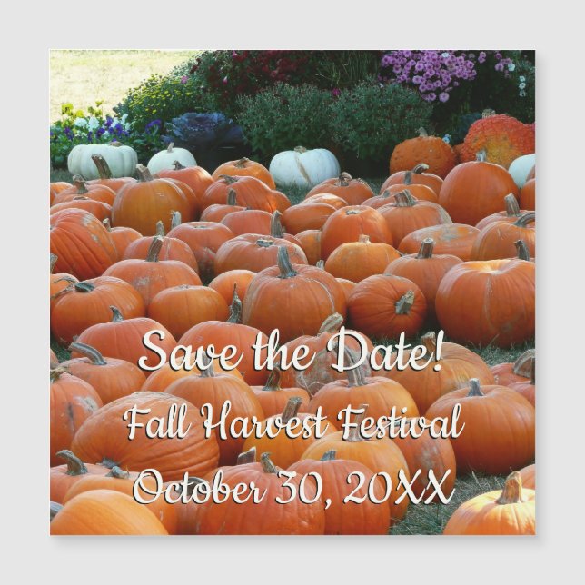 Pumpkins and Mums Autumn Harvest Save the Date (Front)