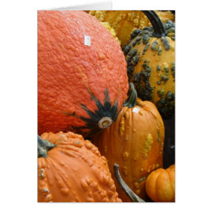 Pumpkins and Squash