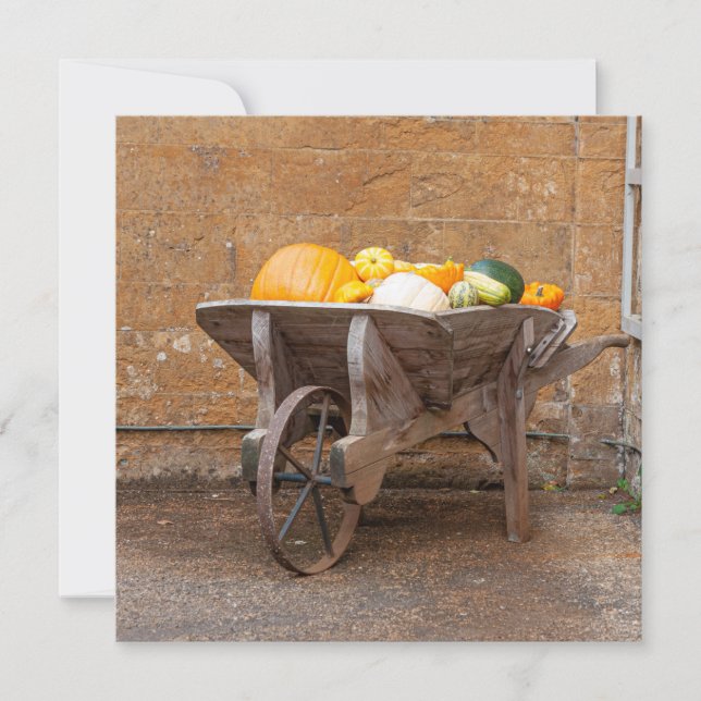 Pumpkins and Squashes (Front)