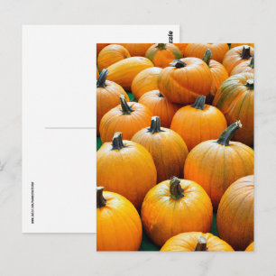 PUMPKINS AUTUMN FALL HARVEST POSTCARDS